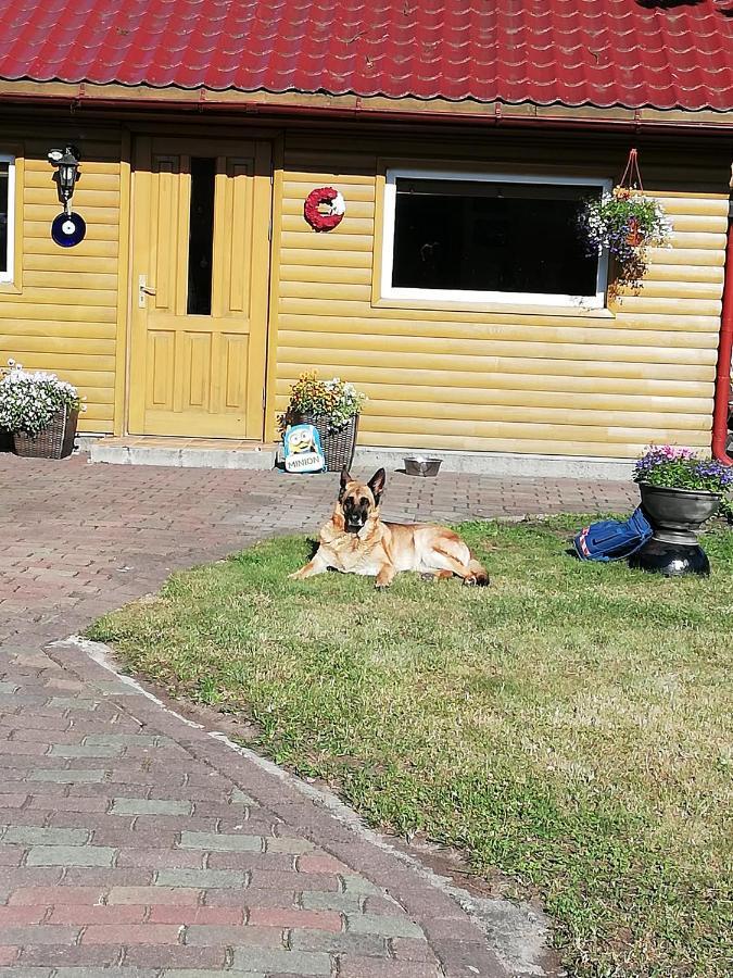 Brīvdienu mājas Venta